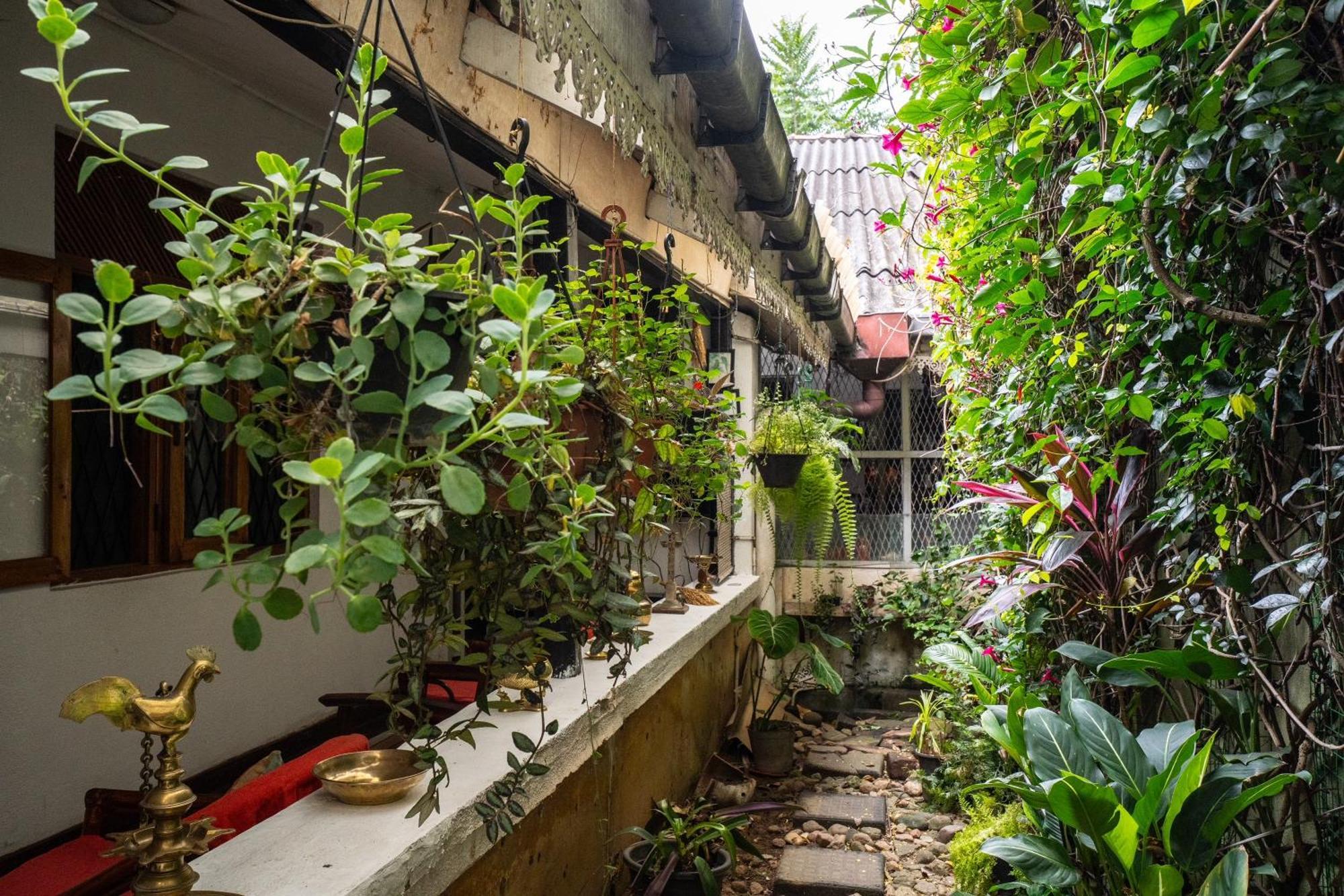 Kandy Inn Madugalle'S Family Guest House Eksteriør bilde