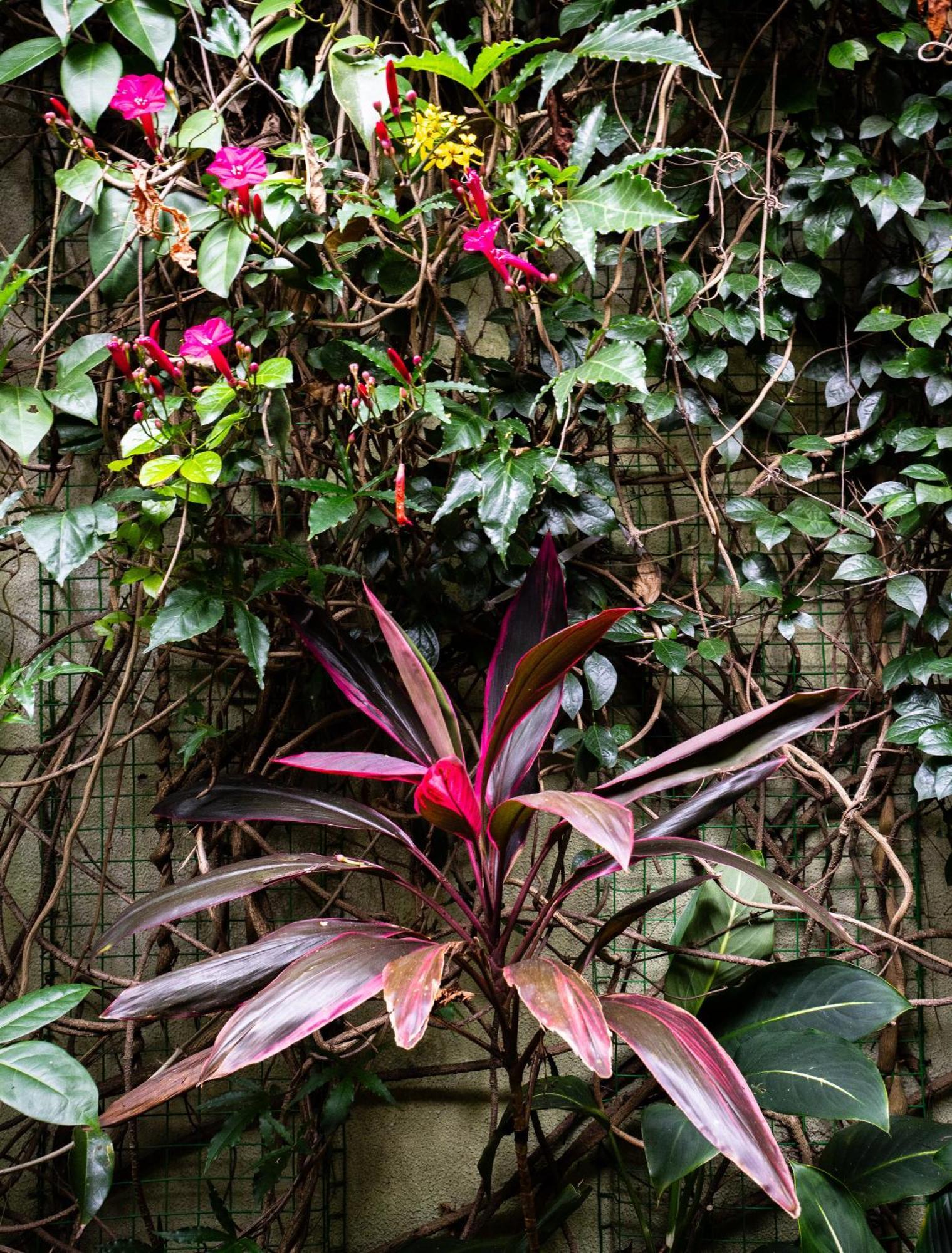 Kandy Inn Madugalle'S Family Guest House Eksteriør bilde